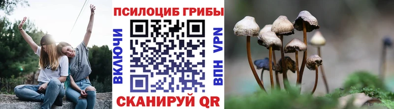 Псилоцибиновые грибы мицелий МЕГА как зайти Анапа